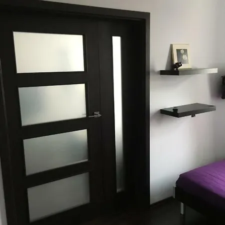 Opera בידגוז'יז'